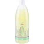 Master Profesional šampon pro každodenní použití 970 ml – Hledejceny.cz