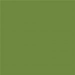 Sahm Ubrousek CLASSIC LEAF GREEN 50ks/bal 100025152 40x40cm – Hledejceny.cz