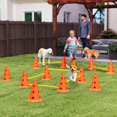 PawHut Agility překážky pro psy oranžové žluté – Hledejceny.cz
