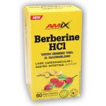 Amix Pro Series Berberine HCl + GreenTea & Dandelion 60 kapslí – Hledejceny.cz