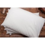 ELIKS Pohankový polštář 40 x 60 cm – Sleviste.cz