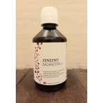 Zinzino olej Balance Oil Omega 3 pomeranč-citron-máta 300 ml – Hledejceny.cz