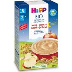 HiPP Mléčná kaše na noc BIO ovesná jablečná 250 g – Zboží Dáma