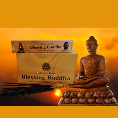 Garden Fresh vonné tyčinky Žehnající Buddha 15 ks – Hledejceny.cz
