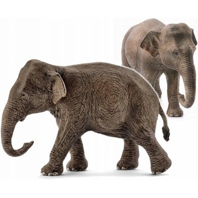 Schleich Asijský slon samice – Zboží Mobilmania