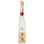 Karfíkův dvůr Koštická mandlová 42% 0,5 l (holá láhev) – Zboží Dáma