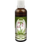 Rehmanie lepkavá bylinná tinktura 50 ml – Hledejceny.cz