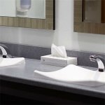 Tork papírové kapesníčky 2-vrstvé 100 ks – Zboží Dáma