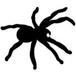 Artemiss Pavouk plastová šablona 085 B 14,5x14,5cm – Zboží Mobilmania
