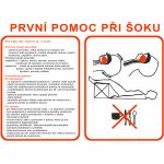 Pravidla první pomoci První pomoc při šoku plast 0,5mm A3 (420 x 297 mm) – Hledejceny.cz