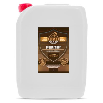 Green Idea Sirup Biotin s boswelií 10 l – Sleviste.cz