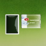 Neva Palette White Nights akvarelové barvy jednotlivé barvy Sap Green – Zboží Dáma