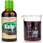 Bylinné kapky Kelp tinktura Pavlovy bylinné kapky 50 ml – Hledejceny.cz