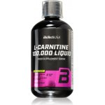 BioTech USA L-Carnitine 100000 500 ml – Zbozi.Blesk.cz