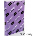 Image Digicolor A3, 160 g/m2 250 listů – Zboží Živě