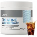 OSTROVIT Creatine 300 g – Hledejceny.cz