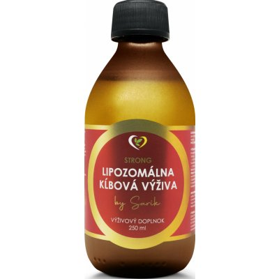 Zdravý Svet Lipozomální kloubní výživa 250 ml – Hledejceny.cz