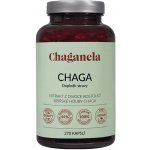 Chaganela Čaga extrakt 270 kapslí – Hledejceny.cz