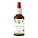 Salvia Paradise Jiaogulan Thailand AF tinktura 50 ml – Hledejceny.cz