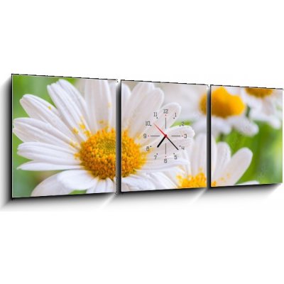 Obraz s hodinami 3D třídílný - 150 x 50 cm - naure power naurová síla – Zboží Mobilmania