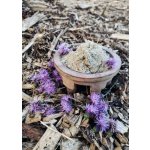 Kava Kava instantní Fiji 100 g – Zboží Dáma