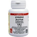 Sinecura Zimolez jinyinhua extrakt prášek 20 g – Hledejceny.cz