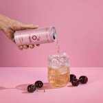 Cans Sycená voda s příchutí višně a třešně 330 ml – Sleviste.cz