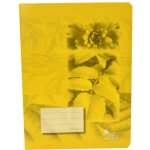 Notes Bohemia Školní sešit 523 A5 linka 20l economy – Sleviste.cz