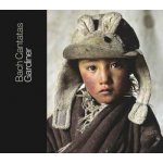 Johann Sebastian Bach: Cantatas Vol. 17: Berlin 2 CD – Hledejceny.cz