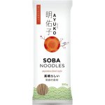 Ayuko Soba nudle 300 g – Zbozi.Blesk.cz