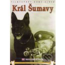 Král Šumavy DVD