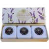 Mýdlo English Soap English Lavender přírodní parfémované mýdlo s bambuckým máslem 3 x 100 g