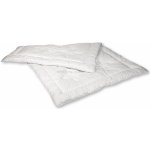 2G přikrývka Dreamfill zimní 1300g 135x220 – Zbozi.Blesk.cz