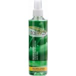 Italwax tonikum předdepilační Aloe Vera 250 ml – Zboží Dáma