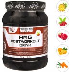 Nutristar AMG POSTWORKOUT DRINK 750 g – Zboží Dáma