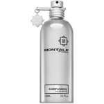 Montale Sandflowers parfémovaná voda unisex 100 ml – Hledejceny.cz