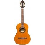 Stagg Flamenco – Zbozi.Blesk.cz