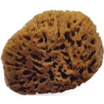 Caribbean Sun mořská houba minerální 13-14 cm – Sleviste.cz