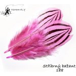 Tommi-Fly BAŽANT STŘÍBRNÝ růžová – Hledejceny.cz