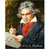 Malování podle čísla Schipper Ludwig van Beethoven