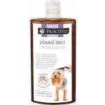 Proactivet Zdravá srst Derma 250 ml – Hledejceny.cz
