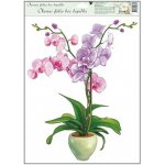 Anděl Přerov Okenní fólie bez lepidla orchideje tmavě růžová 42 x 30 cm – Sleviste.cz