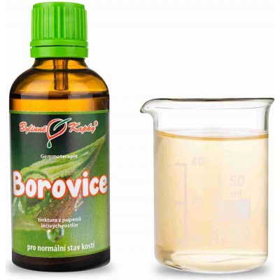 Bylinné kapky Borovice pupeny gemmoterapie 50 ml – Hledejceny.cz