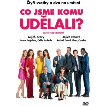 CO JSME KOMU UDĚLALI? DVD