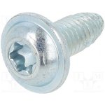BOSSARD 3354029 Vrut; do kovu; s límcem; 5x12; Hlava: kulatá; Torx®; TX25; zinek – Hledejceny.cz