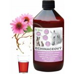 DROMY Echinaceový sirup pro koně 1 l – Hledejceny.cz