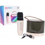 RKToys Karaoke mikrofon s podsvíceným reproduktorem – Zboží Dáma
