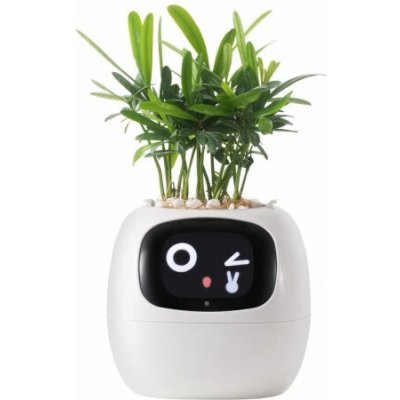 Inteligentní květináč PLANTSIO IVY bílý – Zboží Dáma