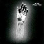 Afghan Whigs - Up On It CD – Hledejceny.cz