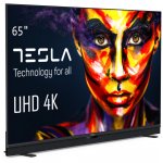 TESLA 65S906BUS – Zboží Živě